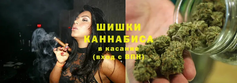 Канабис SATIVA & INDICA  Ворсма 